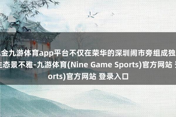 现金九游体育app平台不仅在荣华的深圳闹市旁组成独到的湿地生态景不雅-九游体育(Nine Game Sports)官方网站 登录入口