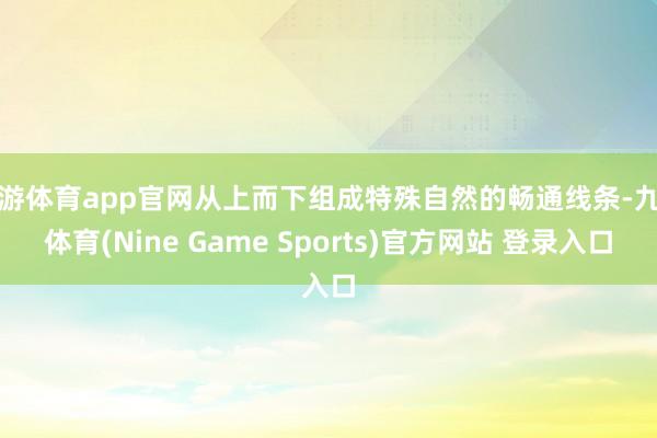 九游体育app官网从上而下组成特殊自然的畅通线条-九游体育(Nine Game Sports)官方网站 登录入口