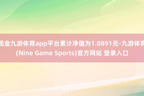 现金九游体育app平台累计净值为1.0891元-九游体育(Nine Game Sports)官方网站 登录入口
