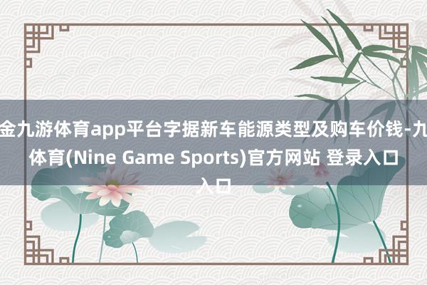现金九游体育app平台字据新车能源类型及购车价钱-九游体育(Nine Game Sports)官方网站 登录入口